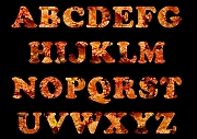 Wall_Art_Alphabet_Photography_Art_ 145